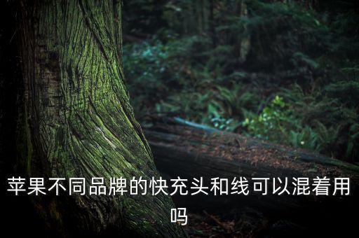 蘋果不同品牌的快充頭和線可以混著用嗎