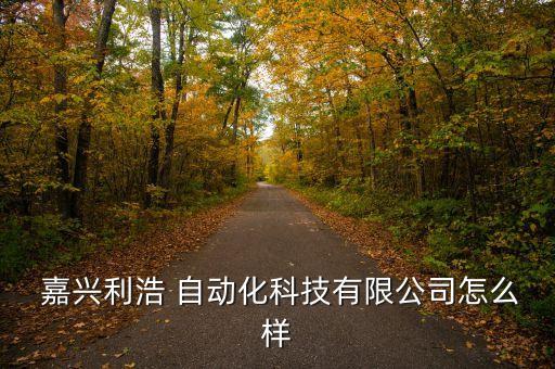  嘉興利浩 自動化科技有限公司怎么樣
