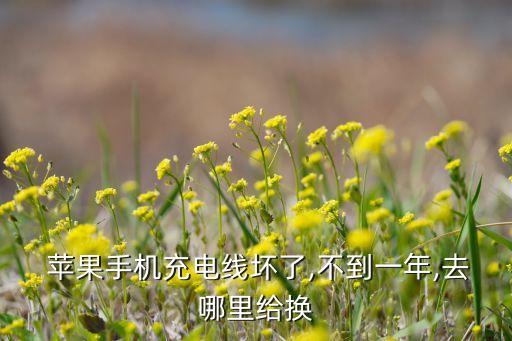  蘋果手機充電線壞了,不到一年,去哪里給換