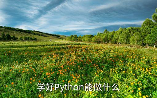 學(xué)好Python能做什么