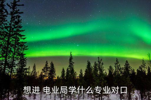 電業(yè)局電氣自動化,電氣自動化能去電業(yè)局工作嗎