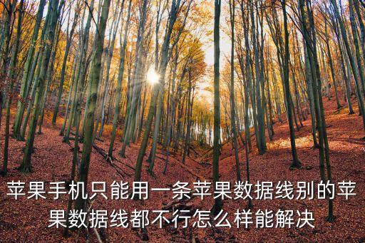 蘋果手機只能用一條蘋果數(shù)據(jù)線別的蘋果數(shù)據(jù)線都不行怎么樣能解決