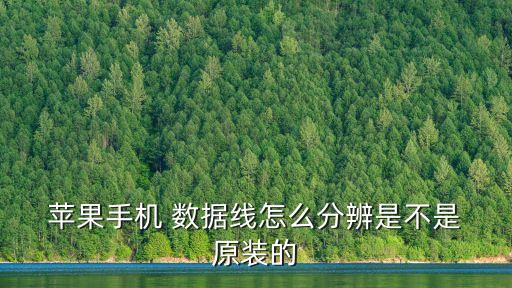 蘋果認(rèn)證非原裝數(shù)據(jù)線,倍思蘋果數(shù)據(jù)線有MFI認(rèn)證嗎