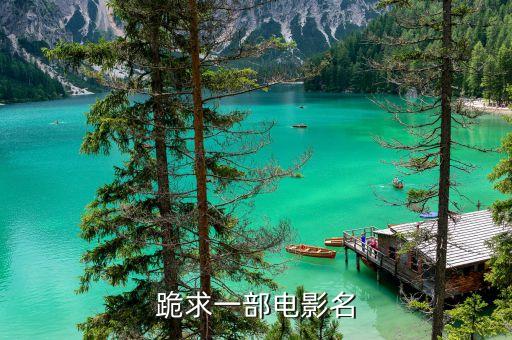 跪求一部電影名