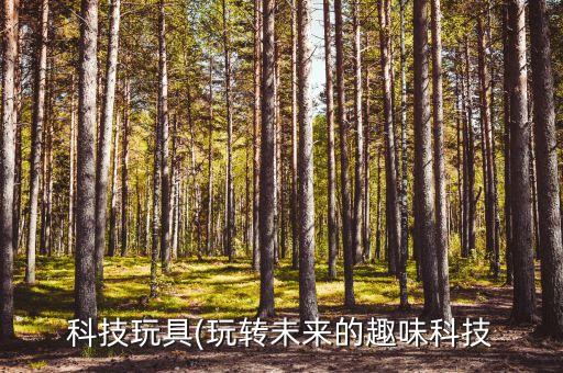 科技玩具(玩轉(zhuǎn)未來(lái)的趣味科技