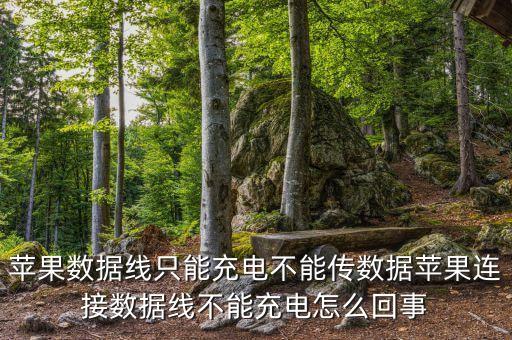 公牛蘋果數(shù)據(jù)線拆,怎么分辨蘋果數(shù)據(jù)線真假?看看這里!