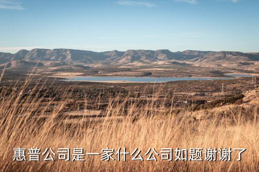 惠普公司是一家什么公司如題謝謝了