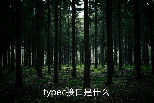 typec接口是什么