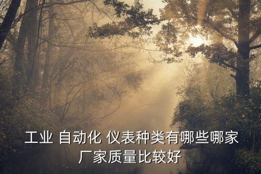  工業(yè) 自動化 儀表種類有哪些哪家廠家質(zhì)量比較好