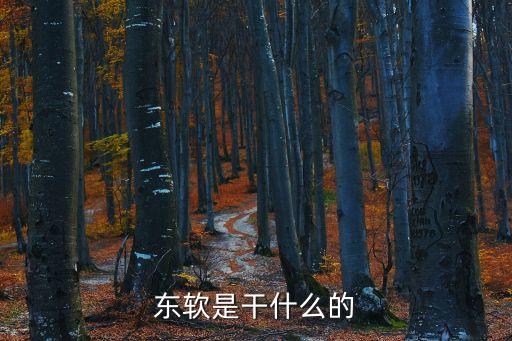 東軟云科技有限公司自動(dòng)化,沈陽(yáng)東軟云科技有限公司客服怎么樣