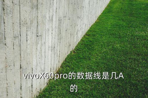 vivoX60pro的數(shù)據(jù)線是幾A的