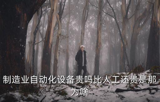 制造業(yè)自動(dòng)化設(shè)備貴嗎比人工還貴是那為啥