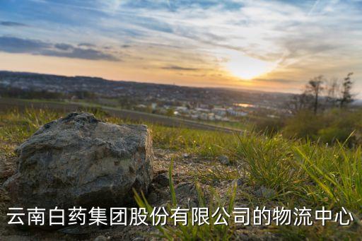 云南白藥集團(tuán)股份有限公司的物流中心