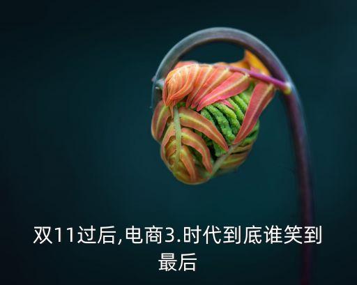 雙11過后,電商3.時代到底誰笑到最后
