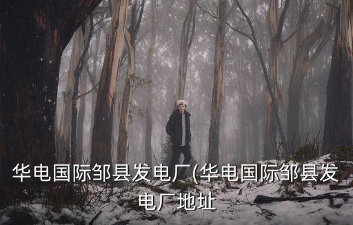 華電國(guó)際鄒縣發(fā)電廠(華電國(guó)際鄒縣發(fā)電廠地址