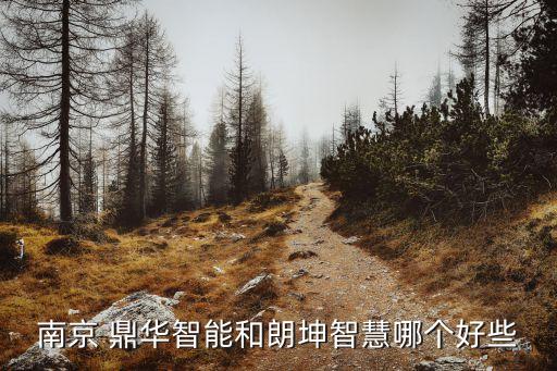 深圳市鼎華自動化有限公司