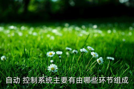 自動 控制系統(tǒng)主要有由哪些環(huán)節(jié)組成