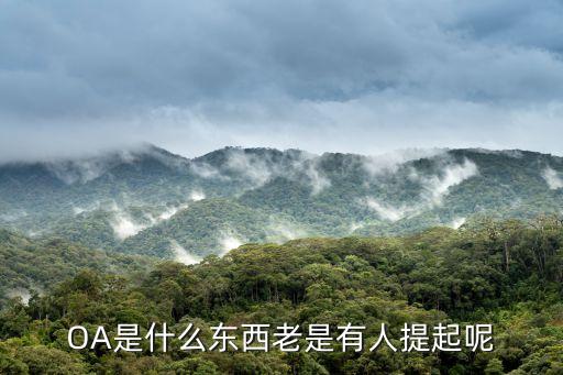 OA是什么東西老是有人提起呢