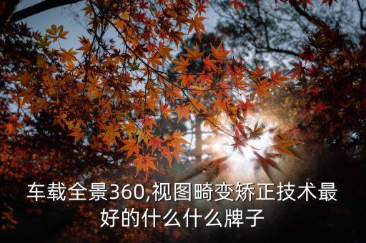 車載攝像頭自動化公司,監(jiān)控攝像頭有看頭非一個品牌不是
