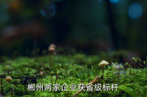 郴州兩家企業(yè)獲省級(jí)標(biāo)桿