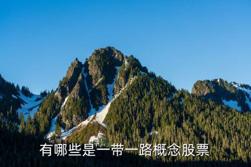 六本自動化技術(shù)有限公司,全球著名軟件公司名單出爐