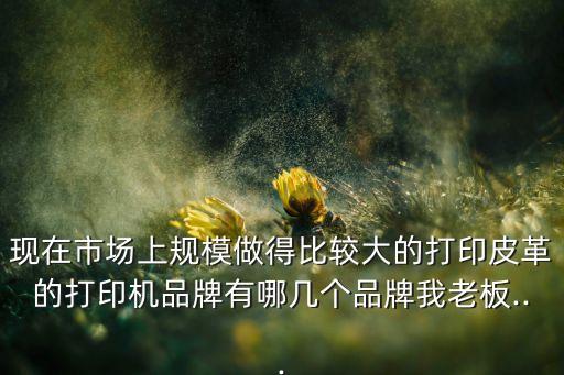 現(xiàn)在市場(chǎng)上規(guī)模做得比較大的打印皮革的打印機(jī)品牌有哪幾個(gè)品牌我老板...