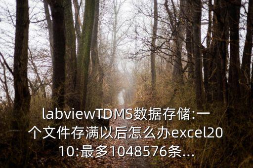 labviewTDMS數(shù)據(jù)存儲(chǔ):一個(gè)文件存滿以后怎么辦excel2010:最多1048576條...