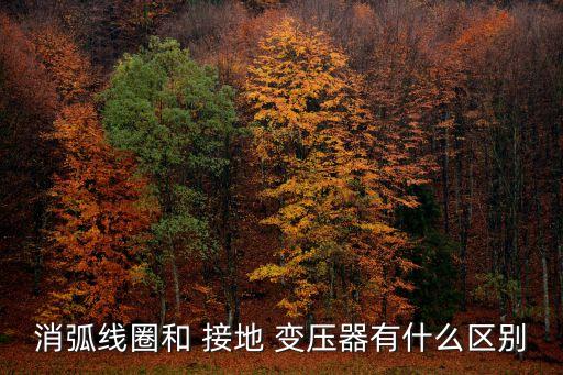 消弧線圈和 接地 變壓器有什么區(qū)別