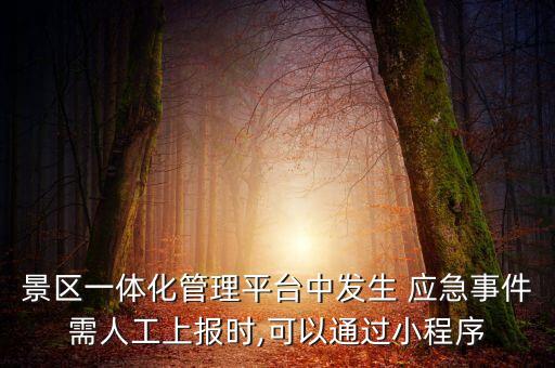 景區(qū)一體化管理平臺(tái)中發(fā)生 應(yīng)急事件需人工上報(bào)時(shí),可以通過(guò)小程序