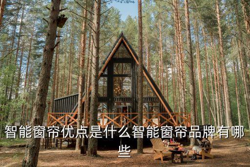 智能窗簾優(yōu)點是什么智能窗簾品牌有哪些
