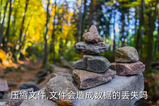 數(shù)據(jù)丟失 損失,數(shù)據(jù)丟失恢復軟件哪個好?三件事你知道的