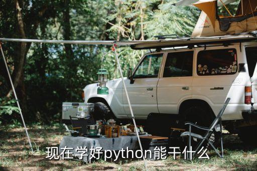 現(xiàn)在學(xué)好python能干什么