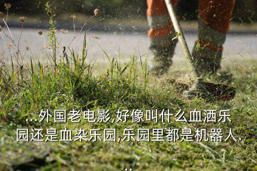 ...外國老電影,好像叫什么血灑樂園還是血染樂園,樂園里都是機器人...