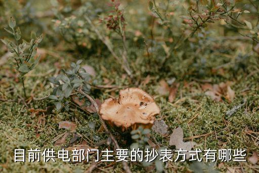 電費(fèi)數(shù)據(jù)接口,智能電能表前端設(shè)有精密測(cè)試和數(shù)據(jù)通訊接口