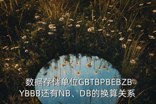  數(shù)據(jù)存儲單位GBTBPBEBZBYBBB還有NB、DB的換算關系