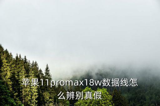 蘋果11promax18w數(shù)據(jù)線怎么辨別真假