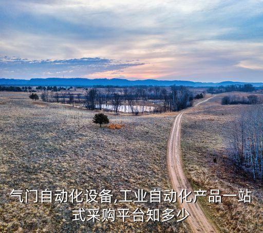 河南氣門自動(dòng)化設(shè)備,工業(yè)自動(dòng)化產(chǎn)品一站式采購(gòu)平臺(tái)知多少?