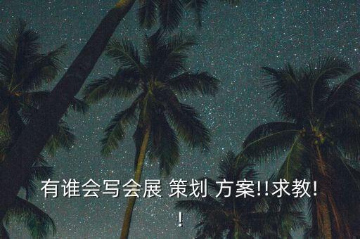 有誰會寫會展 策劃 方案!!求教!!