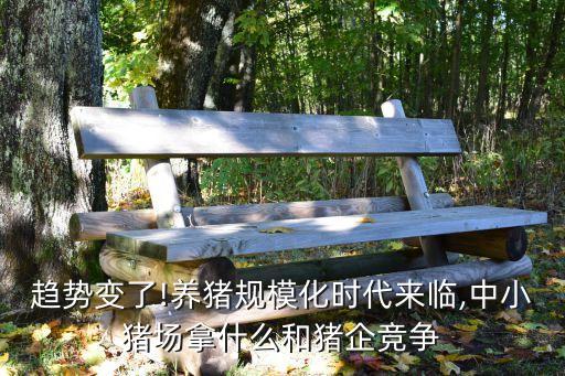 澄邁自動化養(yǎng)豬設(shè)備,自動化養(yǎng)豬設(shè)備勢在必行
