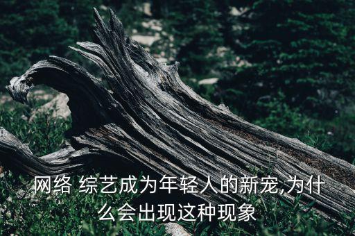 網(wǎng)絡(luò)綜藝 數(shù)據(jù)分析,網(wǎng)絡(luò)暴力數(shù)據(jù)分析2023