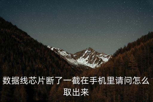 數(shù)據(jù)線芯片斷了一截在手機(jī)里請(qǐng)問怎么取出來