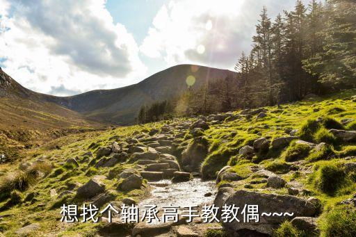 想找個(gè)軸承高手教教偶~~~