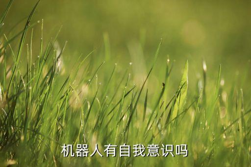 人工智能機器人阿爾法狗,人工智能機器人取代人類嗎?