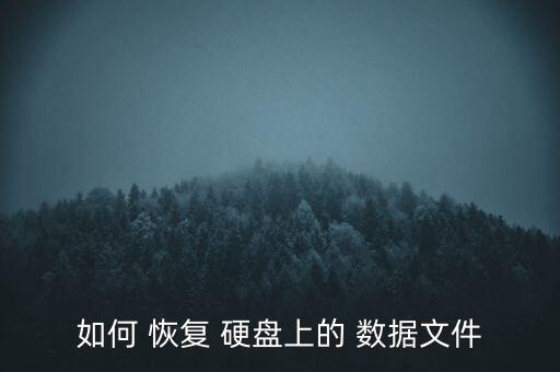如何 恢復(fù) 硬盤(pán)上的 數(shù)據(jù)文件