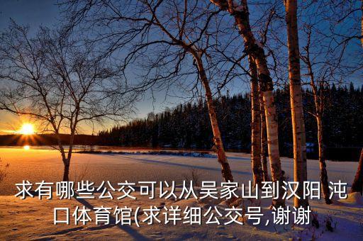 求有哪些公交可以從吳家山到漢陽 沌口體育館(求詳細公交號,謝謝