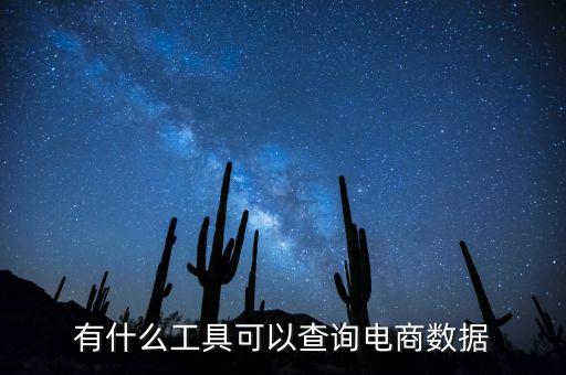 有什么工具可以查詢電商數(shù)據(jù)