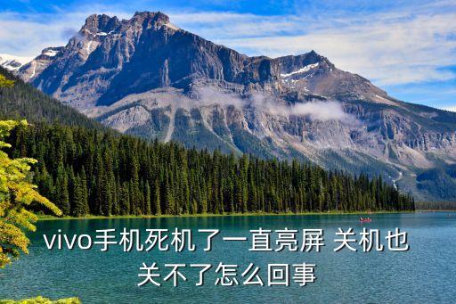 vivo手機(jī)死機(jī)了一直亮屏 關(guān)機(jī)也關(guān)不了怎么回事