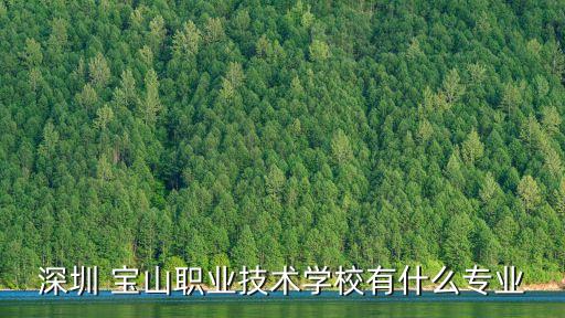 深圳 寶山職業(yè)技術(shù)學(xué)校有什么專業(yè)