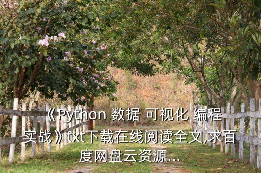 數(shù)據(jù)可視化編程