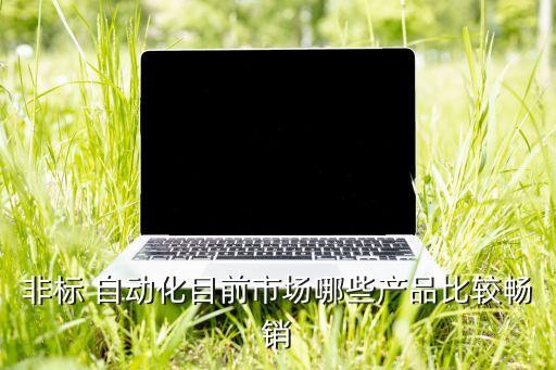 非標(biāo) 自動(dòng)化目前市場(chǎng)哪些產(chǎn)品比較暢銷